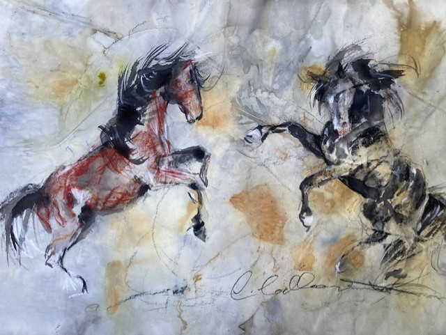 Caroline Callender_ecodyed horse stallions