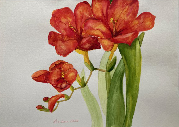 2003FlowerWatercolor_BarbaraHarman