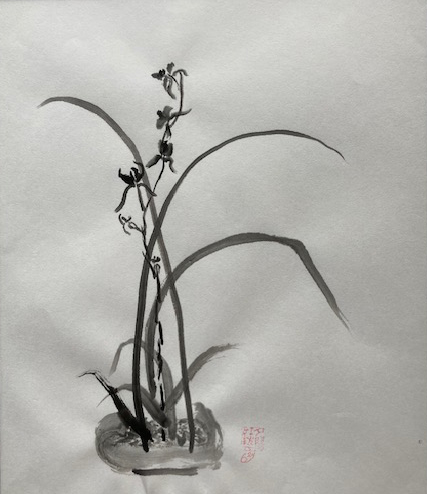 Orchid_BarbaraHarman